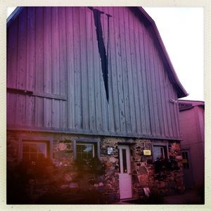 Meet your Posher, Jane